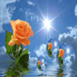 Meet your Posher, Mirna